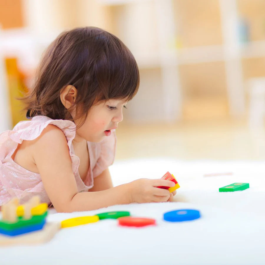 PLANTOYS Geometric Sorting Board