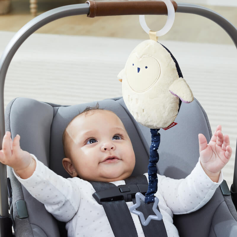 Skip Hop Celestial Dreams Jitter Owl