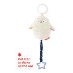 Skip Hop Celestial Dreams Jitter Owl