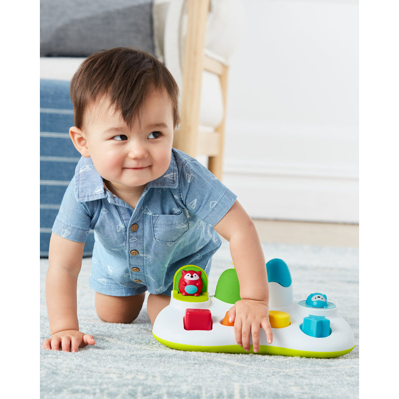 Skip Hop Explore & More Pop-Up Toy