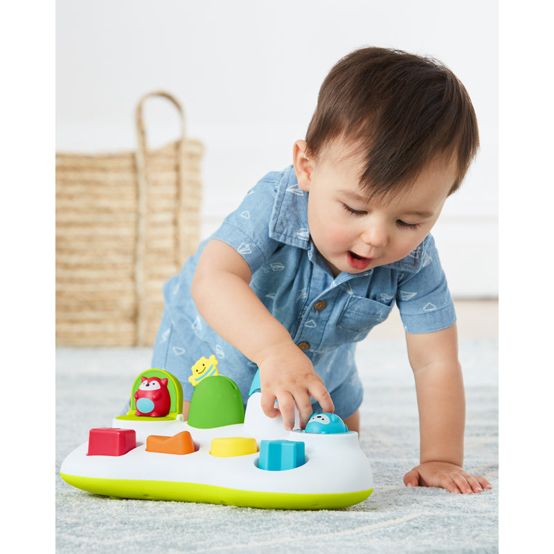 Skip Hop Explore & More Pop-Up Toy