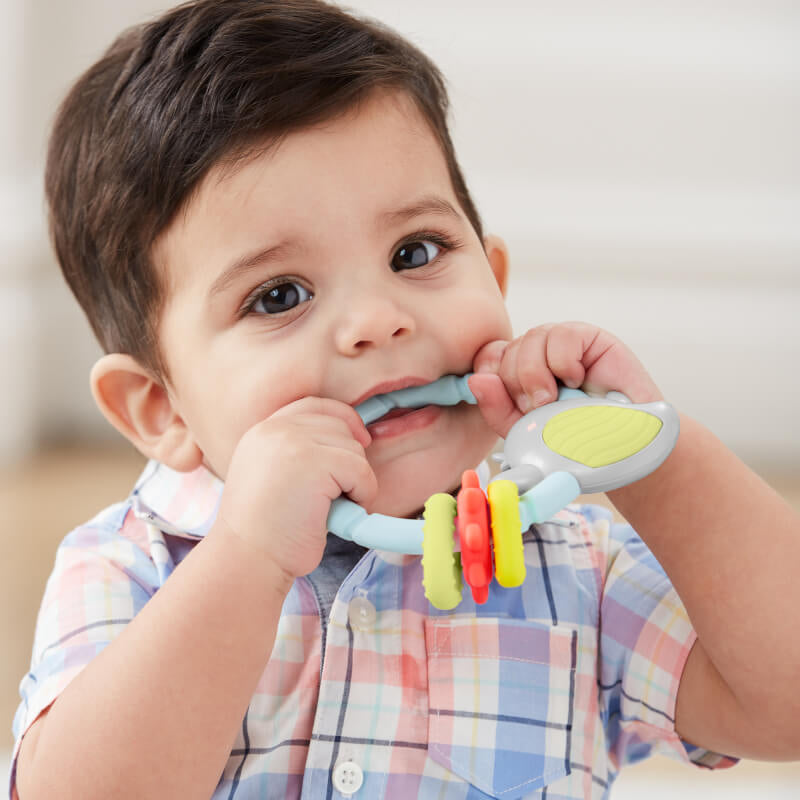 Skip Hop Silver Lining Cloud Teether & Play Toy - Bird