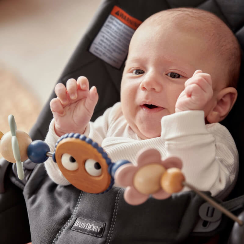 BabyBjorn Wooden Toy for Bouncer - Googly Eyes Pastels