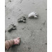 Scrunch Sand Moulds Frog Set - Anthracite Grey